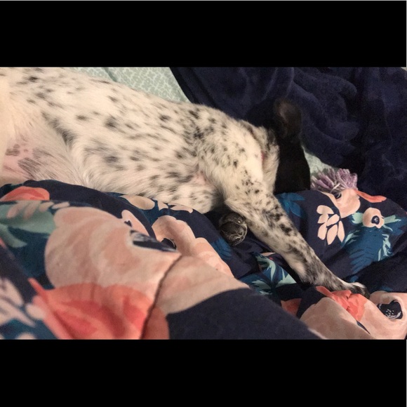 Meet your Posher, Caitlyn - Picture 1 of 1